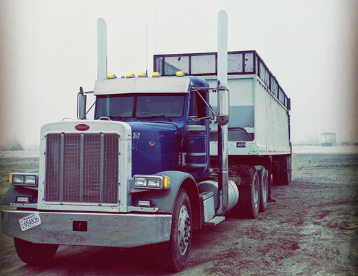 Peterbilt 359 379 7